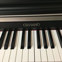 カシオ／ＣＥＬＶＩＡＮＯ　ＡＰ－４２０の画像