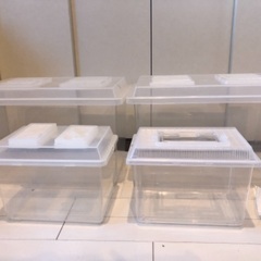 昆虫ケース　コバエシャッター付き　　　　　※今週中に締め切ります！