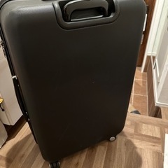 samsonite スーツケース 2フライトのみ使用の画像