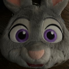 ディズニーチケット入れ