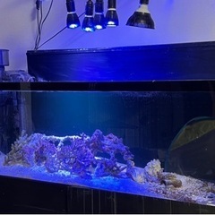 大幅値下げ！美品　海水魚飼育水槽一式　底面　背面ブラック　1200×600×450