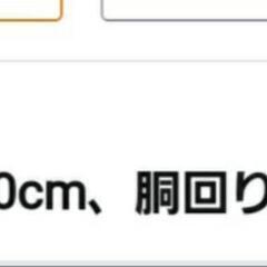 (元値2500円の品)犬猫用服超美品(色水色)の画像