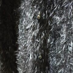 Apaiser Iame　38 カーディガン　ボレロ　パーティーの画像