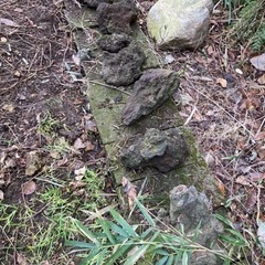 溶岩、庭井を無料で差し上げます。