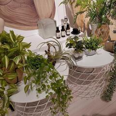 フェイクグリーン セット 観葉植物 7点セットの画像