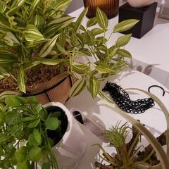 フェイクグリーン セット 観葉植物 7点セットの画像