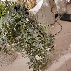 フェイクグリーン セット 観葉植物 7点セットの画像
