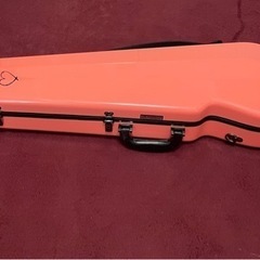 バイオリン（Andreas Eastman VL80）の画像