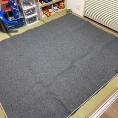 受け渡し決定してます！ホットカーペット　3畳の画像