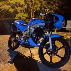 NSｰ1
