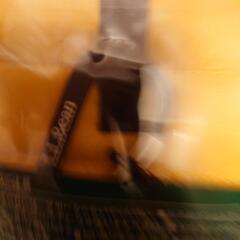 LLBean　非売品　スリーピングマルチホルダーバッグの画像