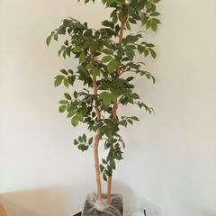 取引中☆おしゃれな人工観葉植物　高さ155☆