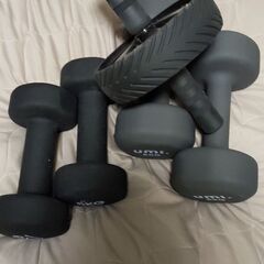ダンベル5kg×2、8kg×2，腹筋ローラー