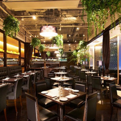 銀座で食事会〜17:00時から〜締切9時✳︎