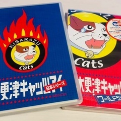 DVDセットの画像