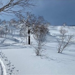 オリンピアナイター滑りに行きませんか？