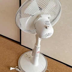 【お譲り先決定！】扇風機 ① ユアサプライムスの画像