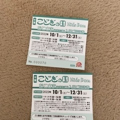 こどもの国 招待券