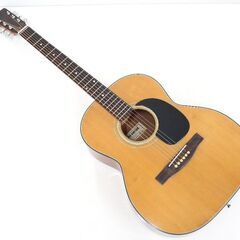 無料！アコギ☆LAKE GUITER☆N-2☆NISSIN KO...