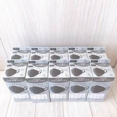 【未開封品】立体構造マスク1年分/ブラック/30枚×10個セットの画像
