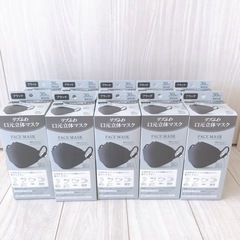 【未開封品】立体構造マスク1年分/ブラック/30枚×10個セット