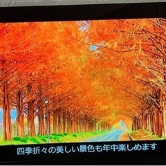 有機ELテレビ　Panasonic VIERA FZ950 TH-55FZ950の画像