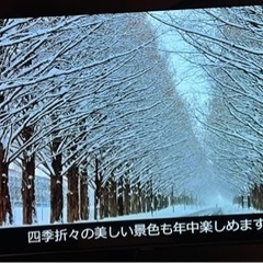 有機ELテレビ　Panasonic VIERA FZ950 TH-55FZ950の画像