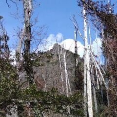 12月17日(土)関東低山登山仲間募集