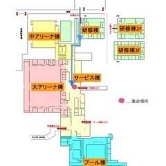 12/14(水)ゆる〜くウォーキング🏃🏻‍♀️🏃🏻しませんか⁇ 👟 - スポーツ