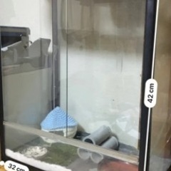 爬虫類ケージ 縦長 樹上性 カメレオン ヤモリ ナナフシ