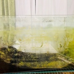 熱帯魚水槽60cm