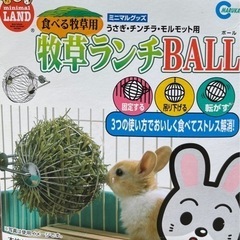 (値下げ )牧草ボール 1