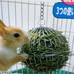 (値下げ )牧草ボール 1の画像