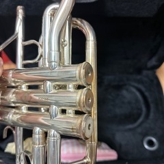 コルネットの画像