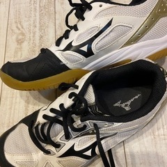 バレーボールシューズ ジュニア キッズ ミズノ mizuno 22.5