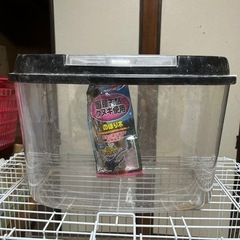 虫かご