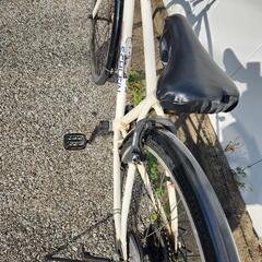 ジュニア自転車　ブリジストン シュラインの画像
