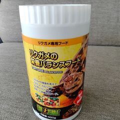 リクガメフード