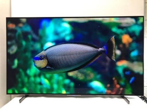 決まりました！SALE 1.7万円引き‼(12/20まで) 高画質✨　4K 有機EL テレビ　今年購入