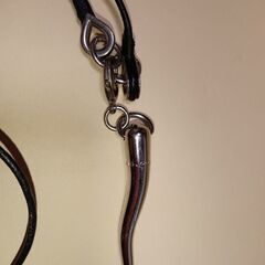 DOLCE&GABBANAドルガバコルノネックレスの画像