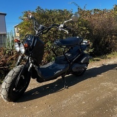 HONDA ズーマー　実働