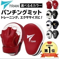 【お譲り先決定】ボクシング パンチングミットの画像