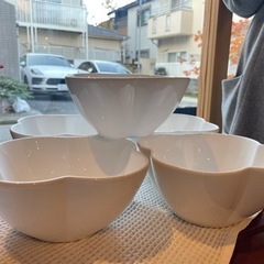 白い丼もののお皿 5点セット