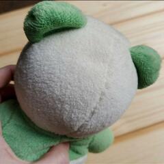 HIROKUNHOUSE緑パンダの画像