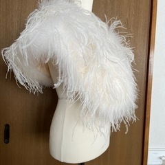 【完了しました】晴れ着用フェザーショールの画像