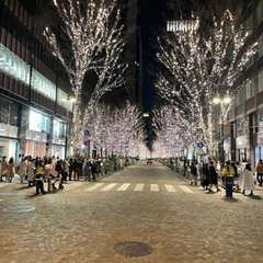 ※急募【イル見ネーション会✨】