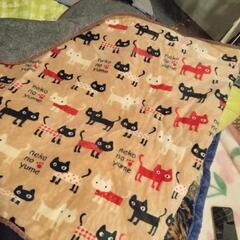 冬用カーペット無料です！