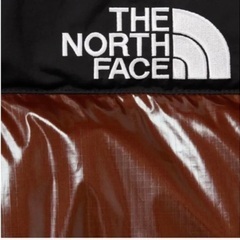 Supreme / The North Face 700-Fill Downの画像