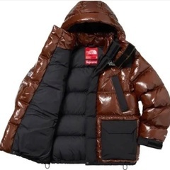 Supreme / The North Face 700-Fill Downの画像