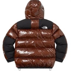 Supreme / The North Face 700-Fill Downの画像
